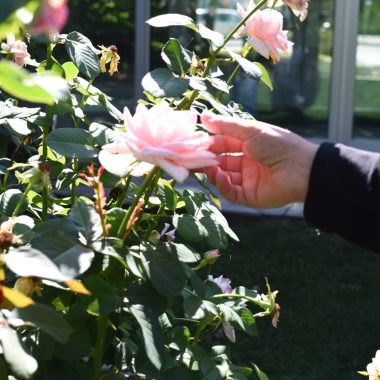 DSC_4966 DSC_4966